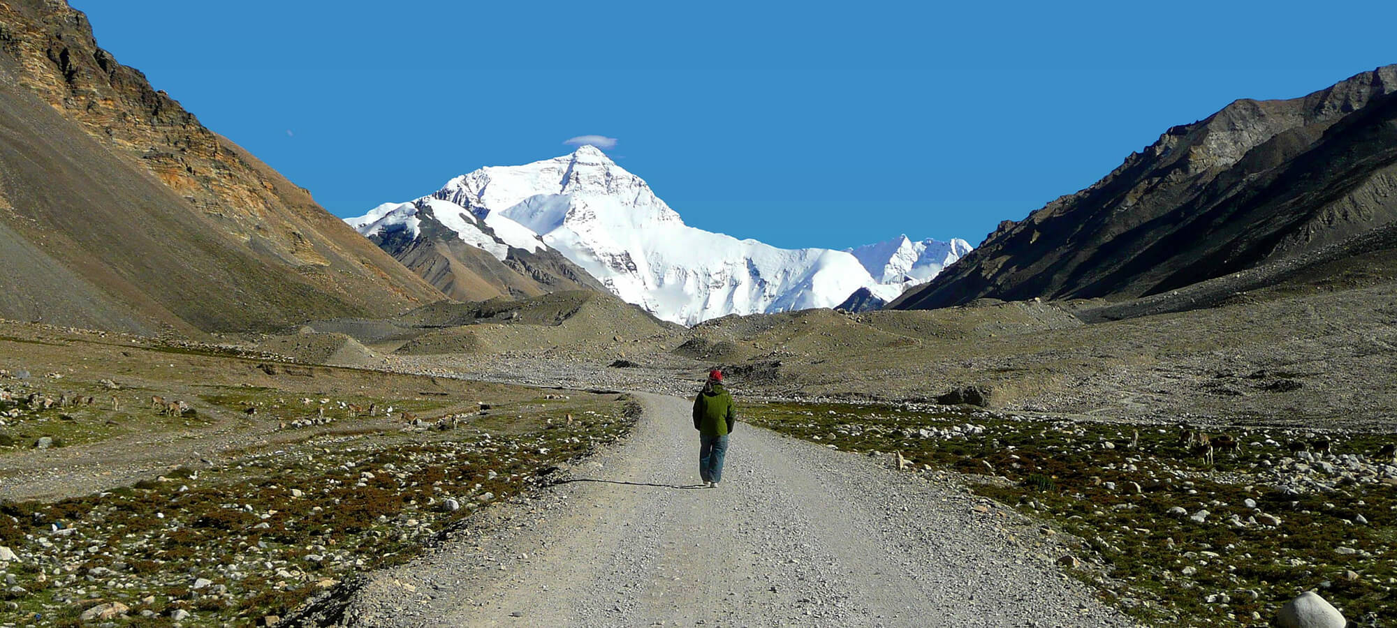 expedition-1