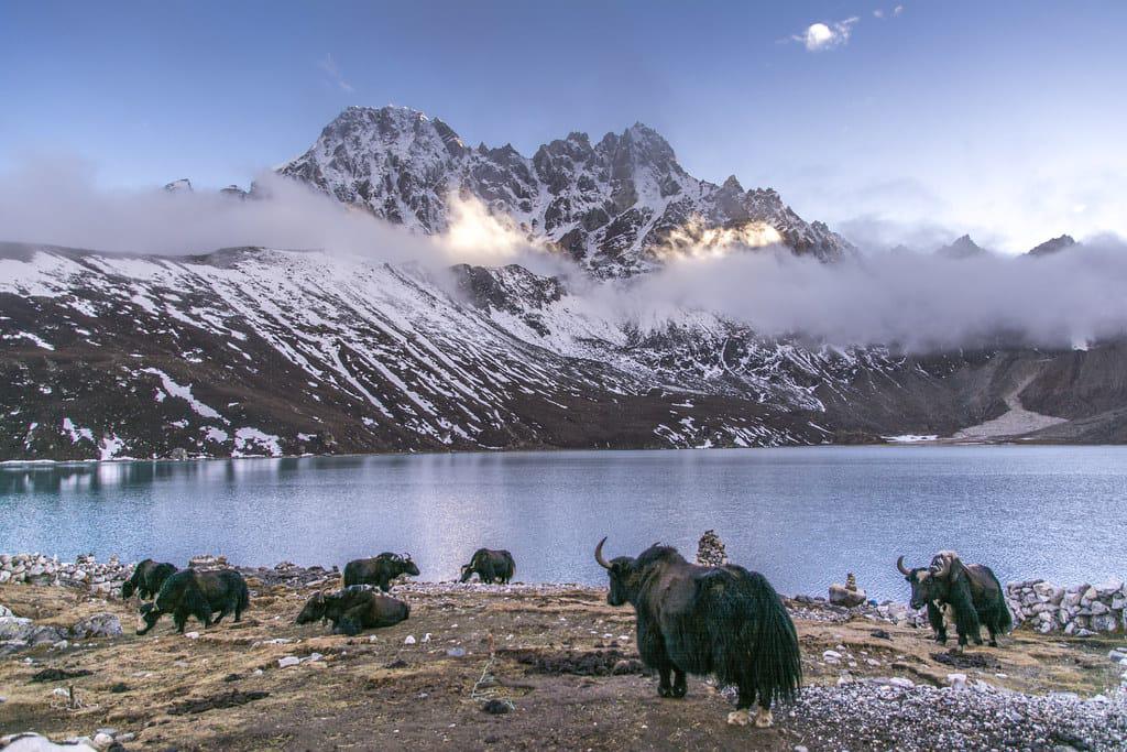 Gokyo Lake Trek